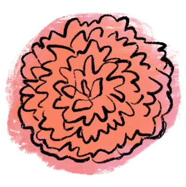 Dahlia
