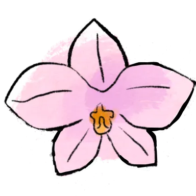 Orchid